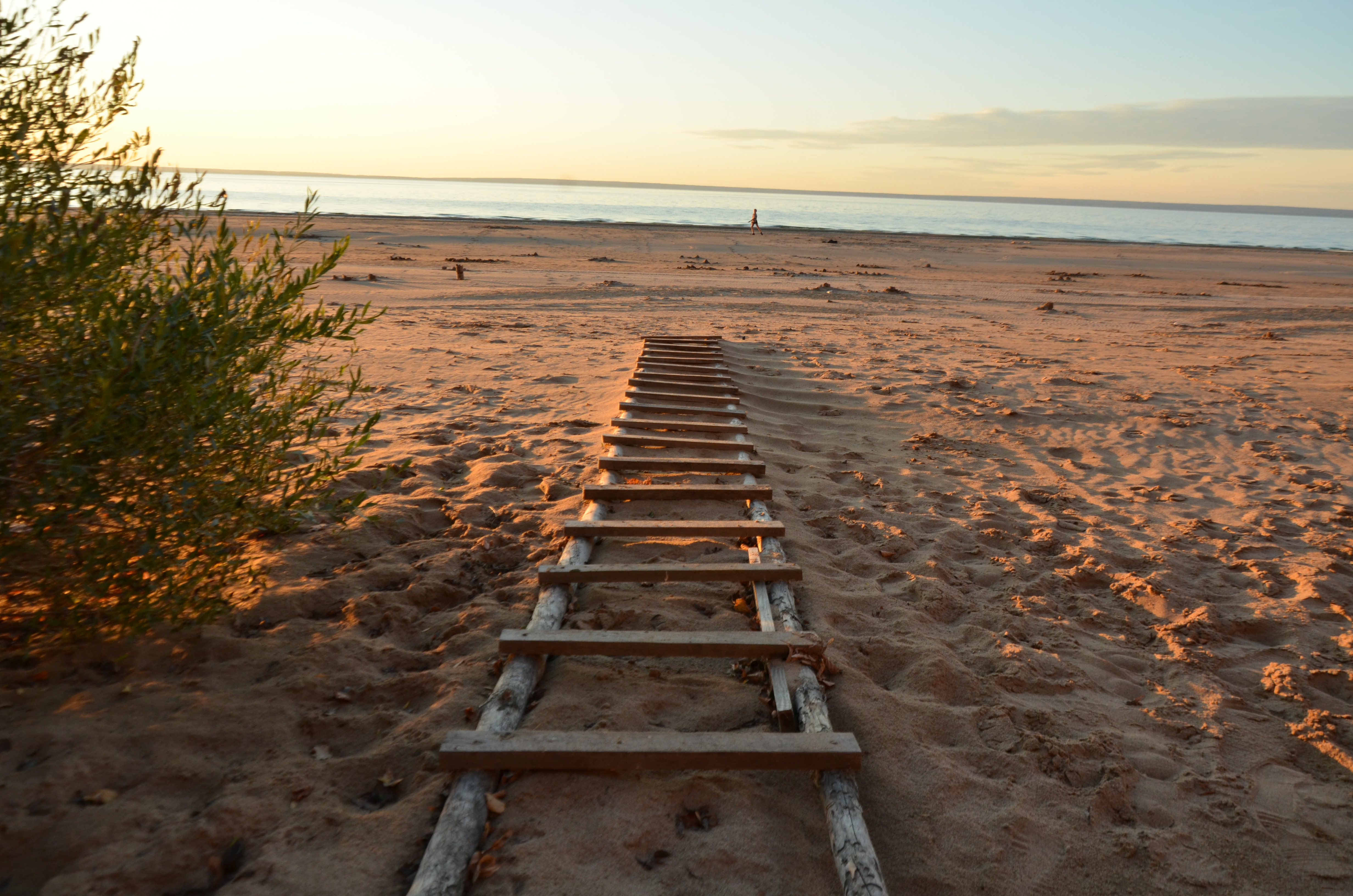 Фото Лесная гавань