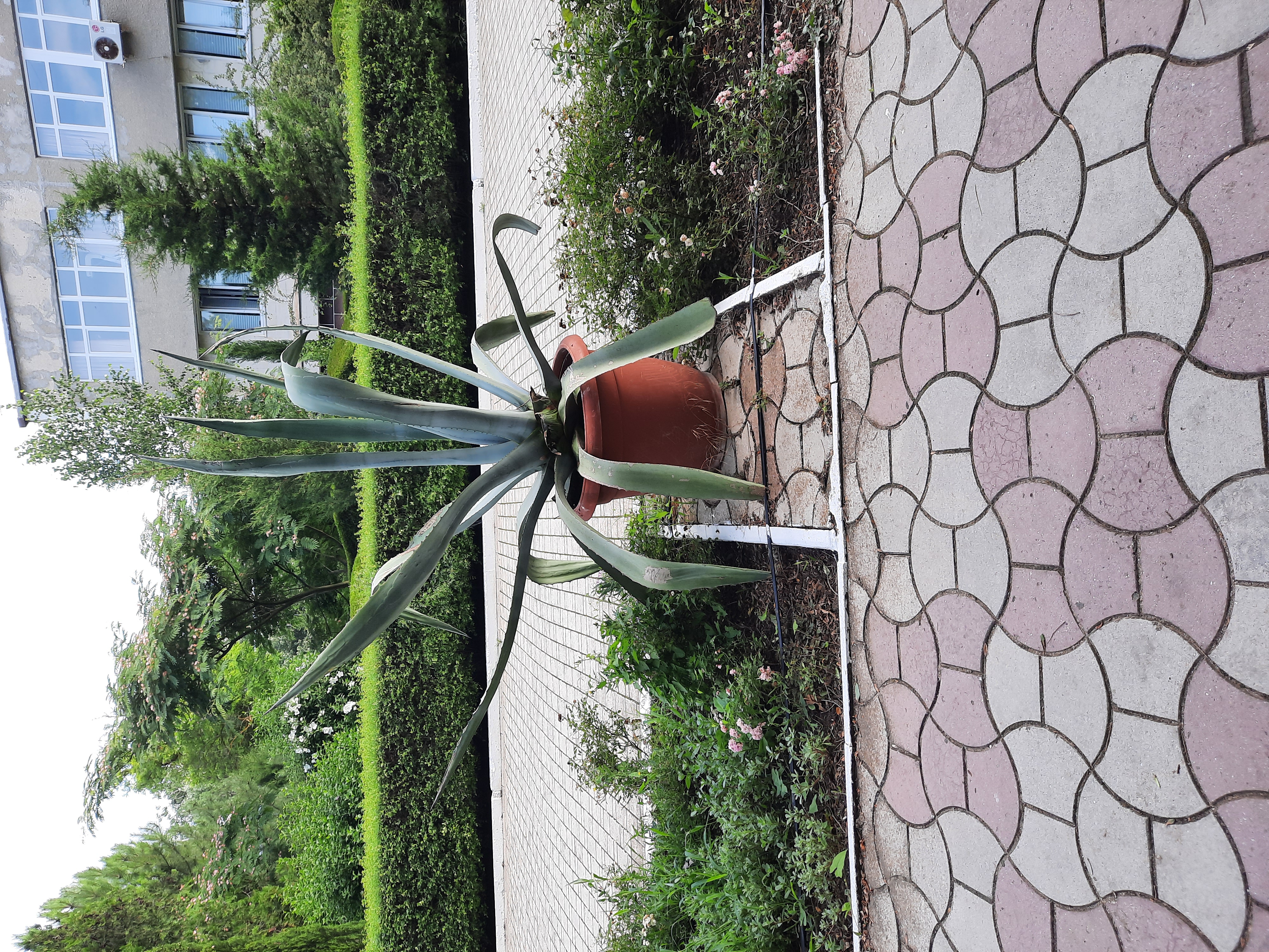 Фото Приморье