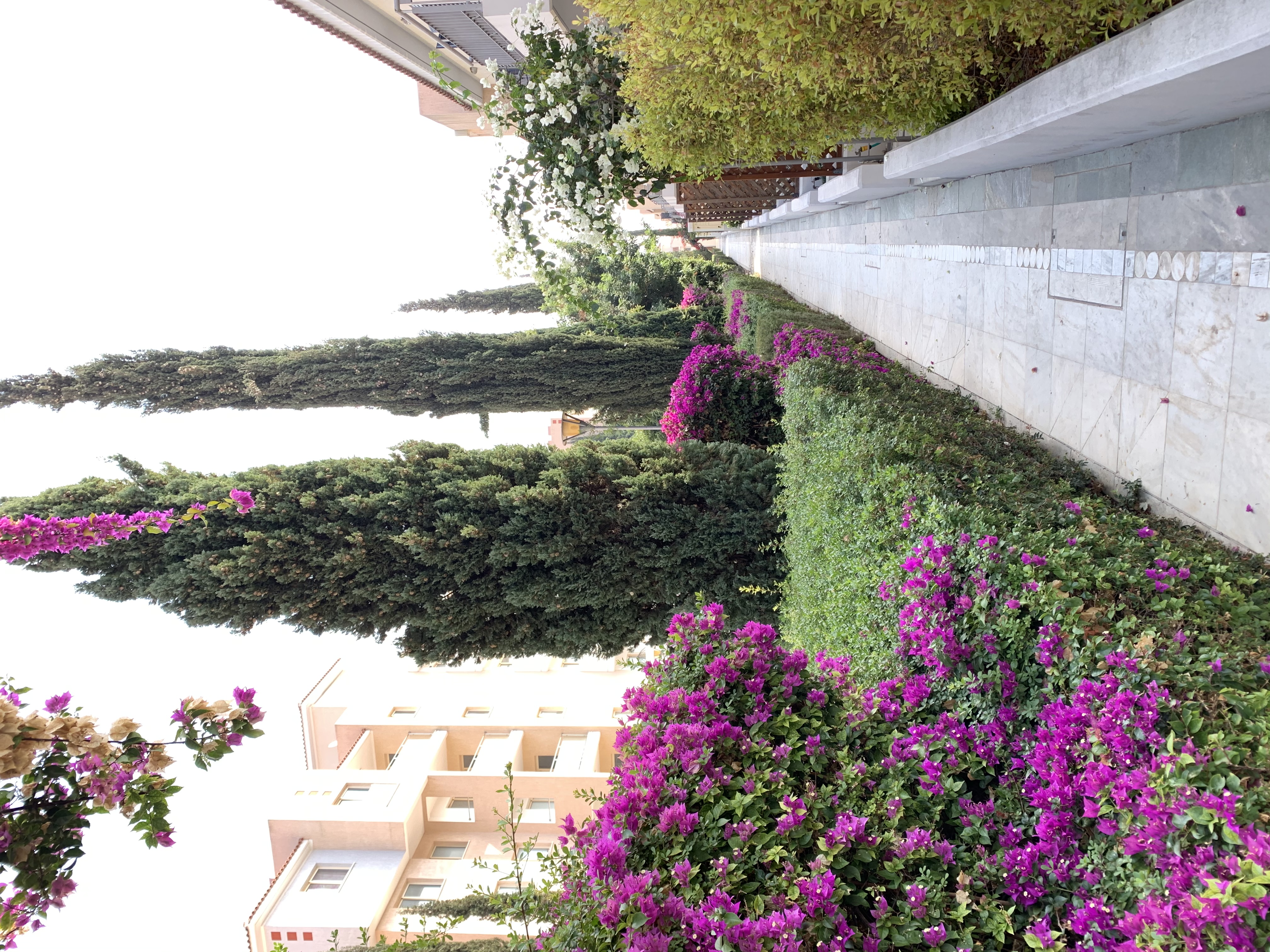 Фото Elysia Park