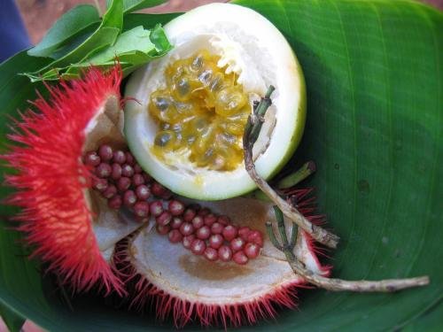 Фото Kimte Beach Lodge