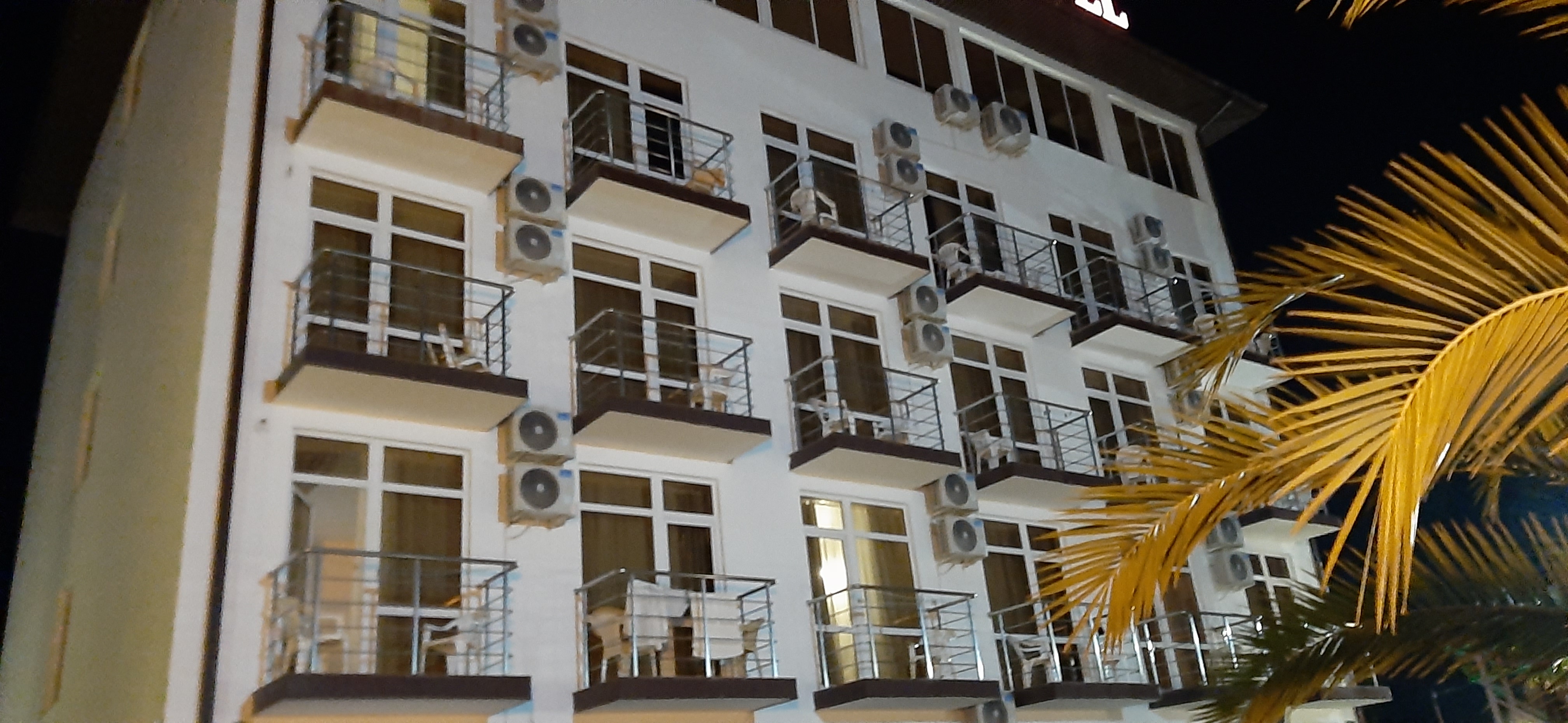 Фото Орхидея