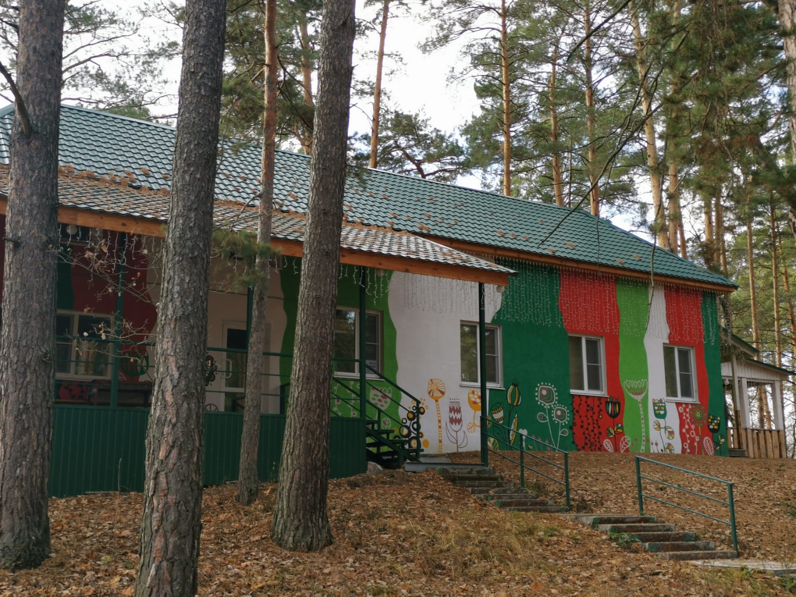 Фото Лесная дача