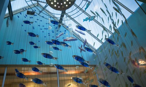 Внешний вид отеля Views Boutique Hotel & SPA в Джордже, фото 4