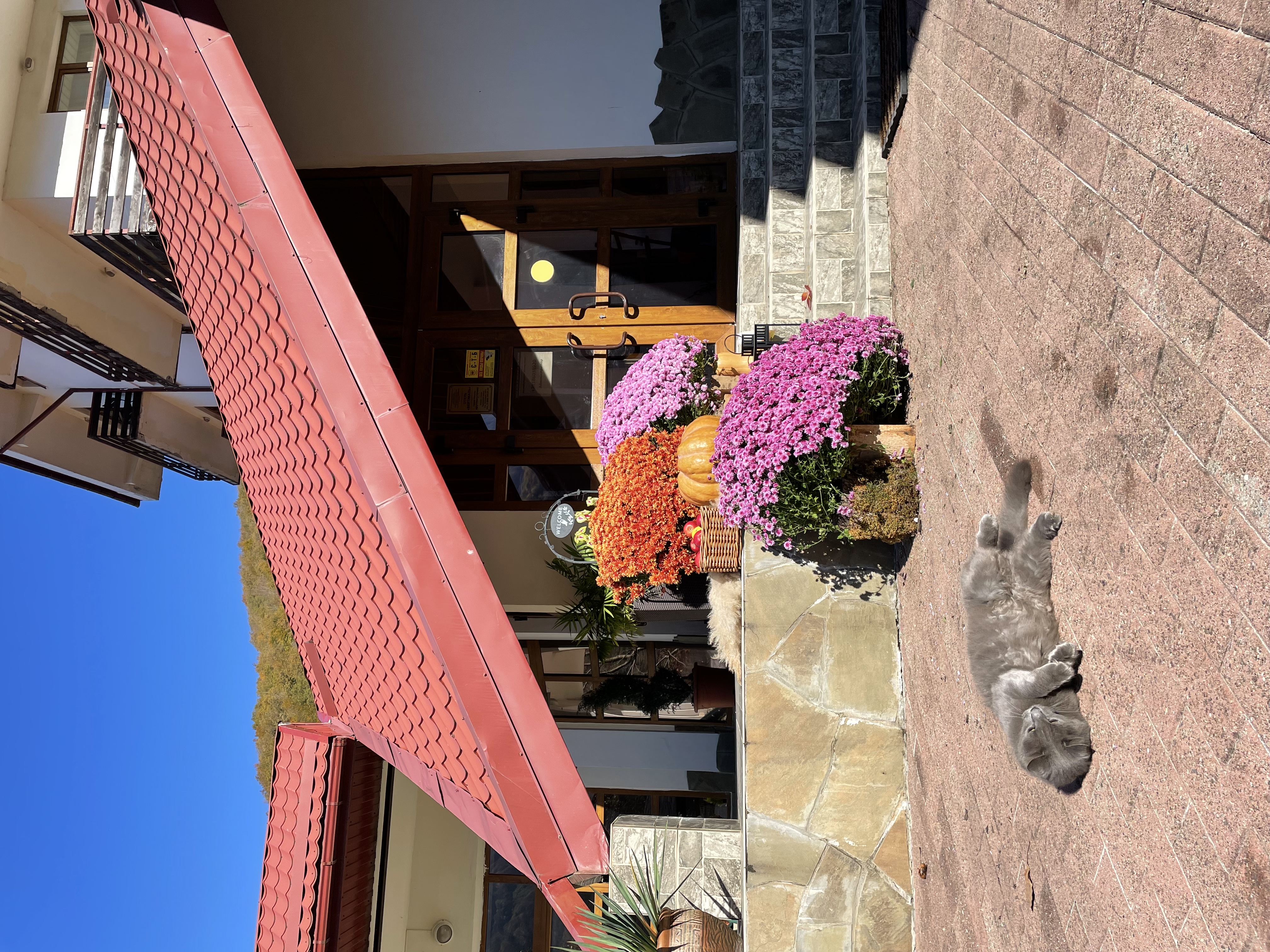 Фото Вертикаль