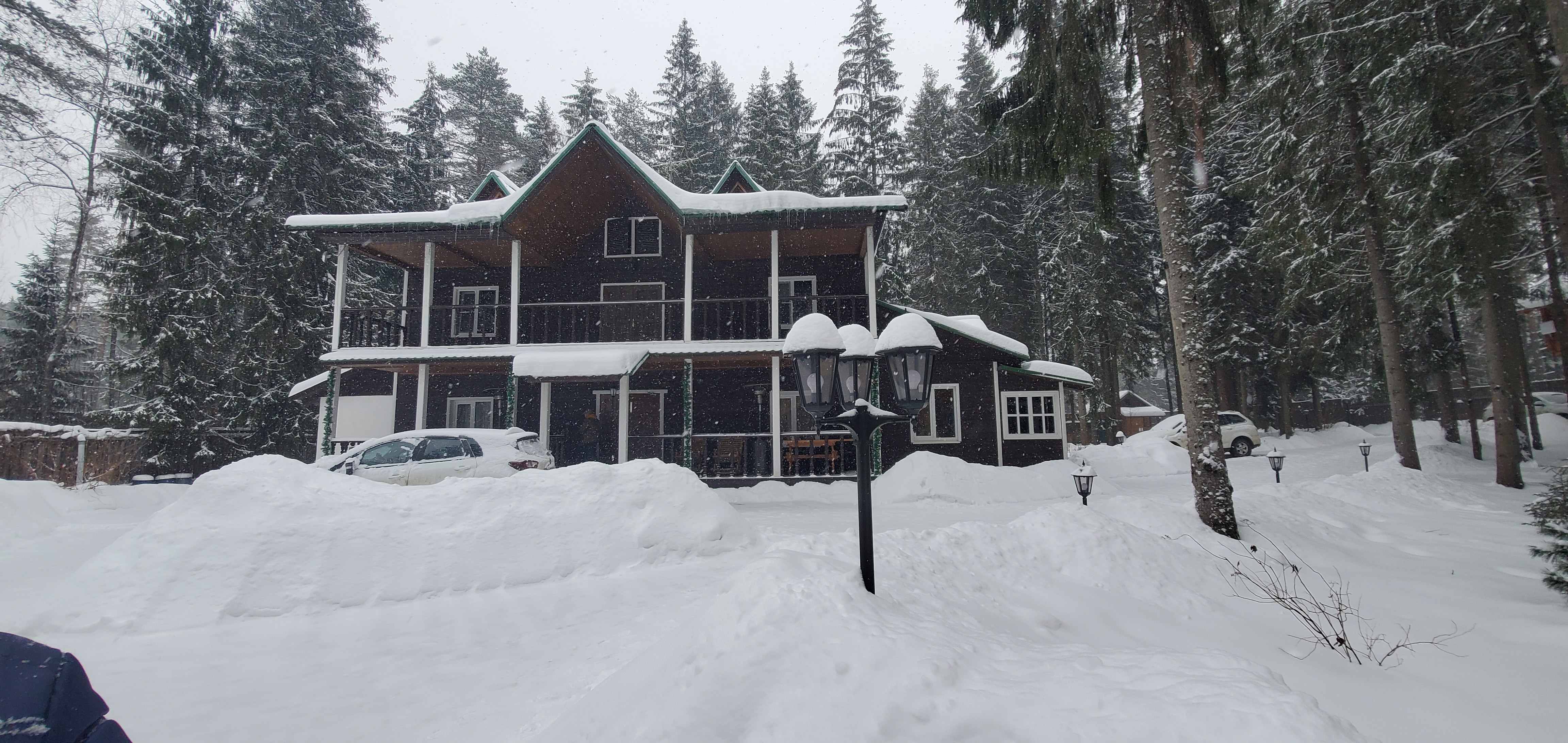 Фото Wish Seliger