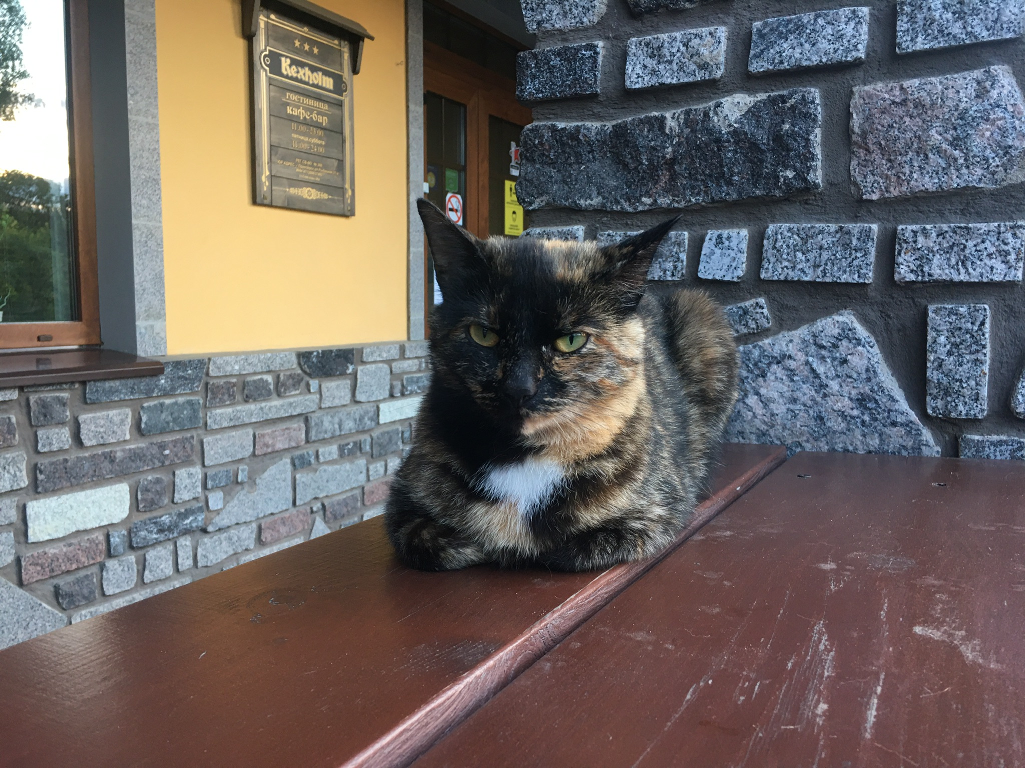 Фото Кексгольм