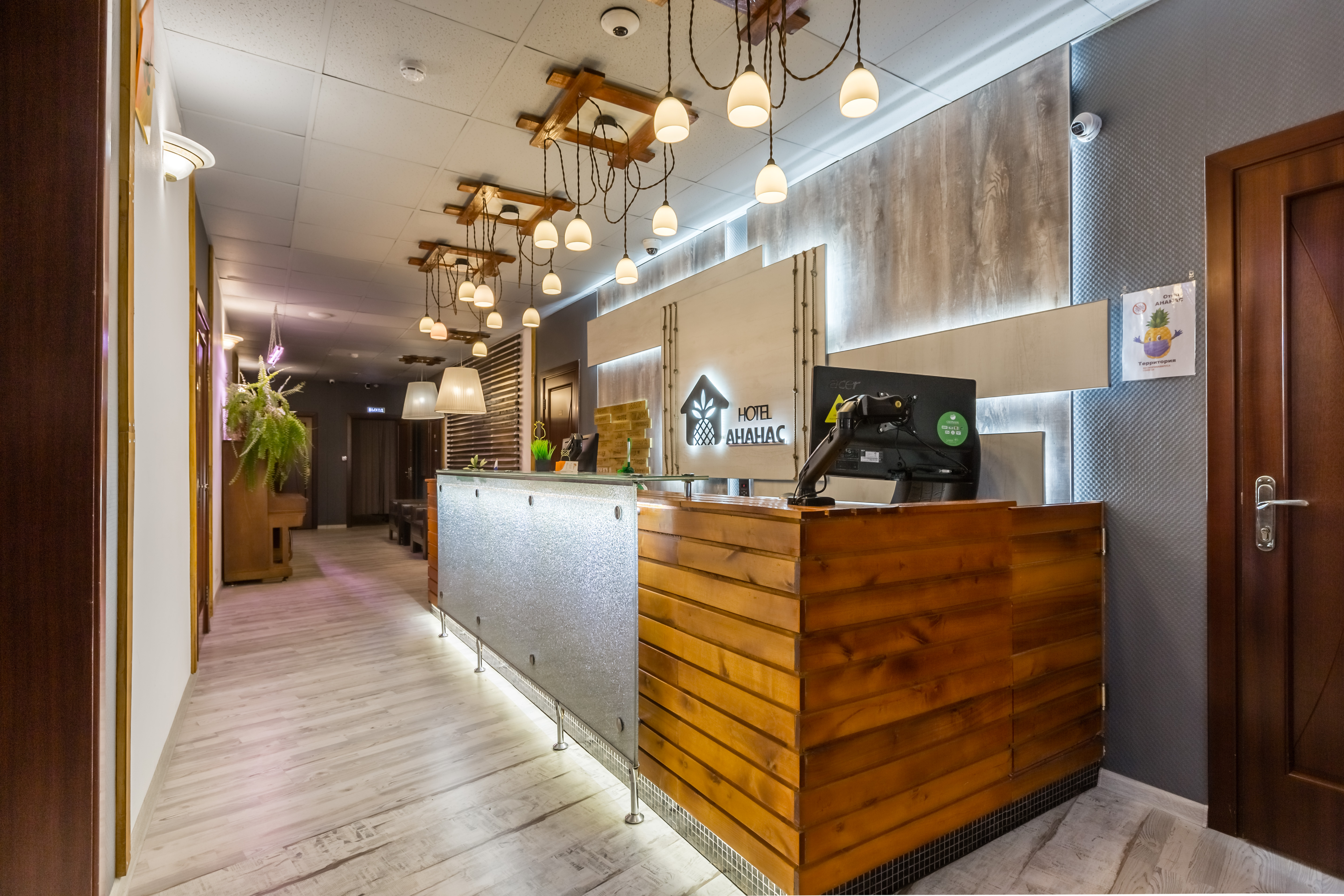 Фото Ананас