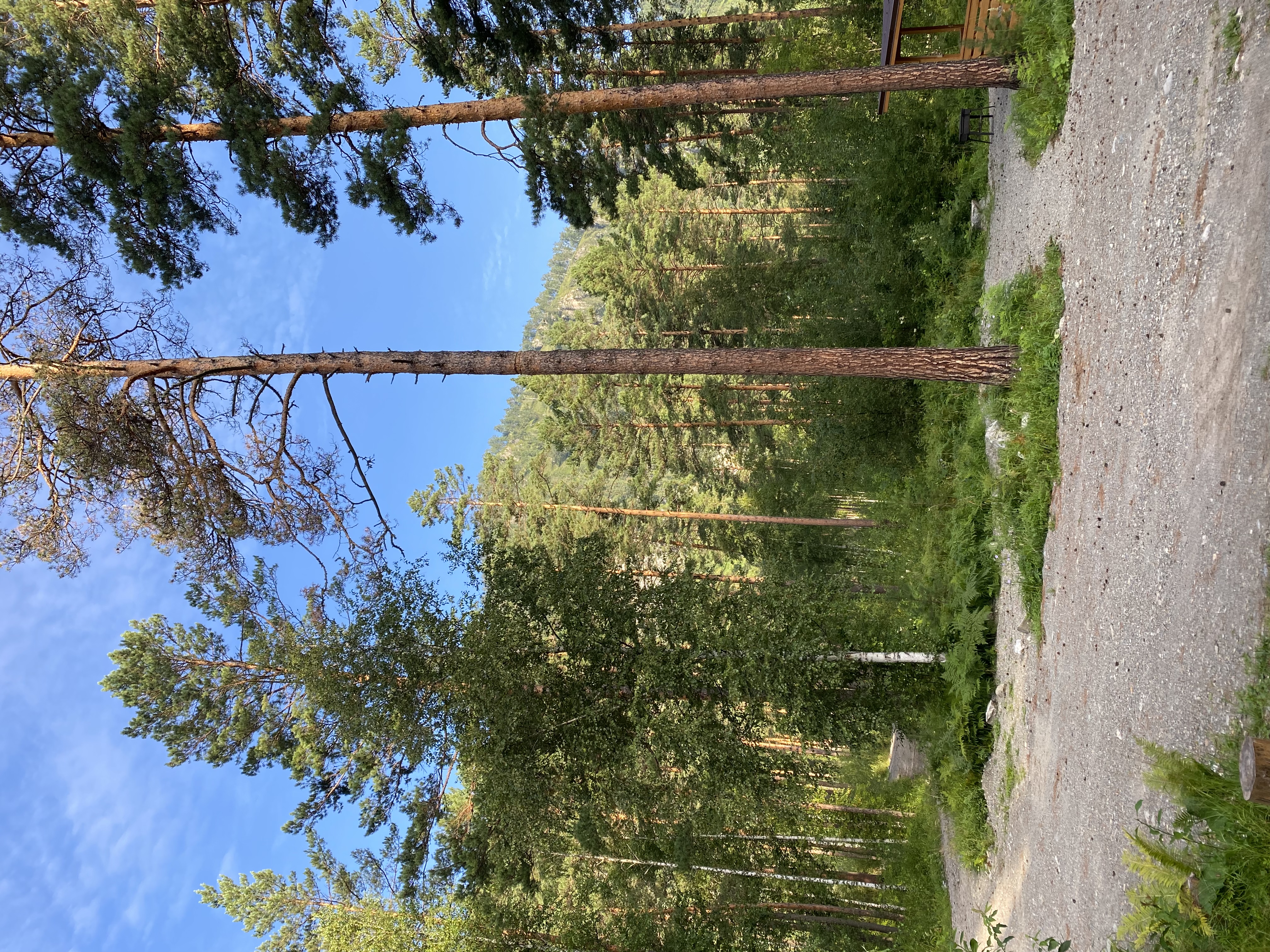 Фото Таналтай