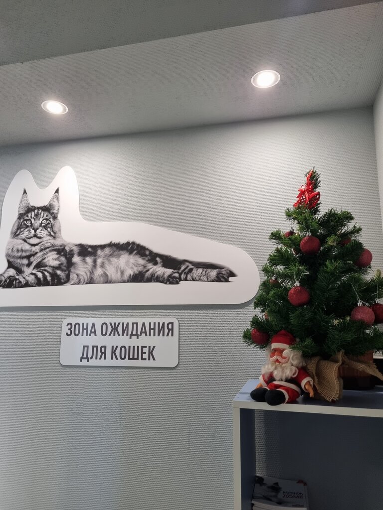 ветеринарная клиника — Планета животных — Москва, фото №2