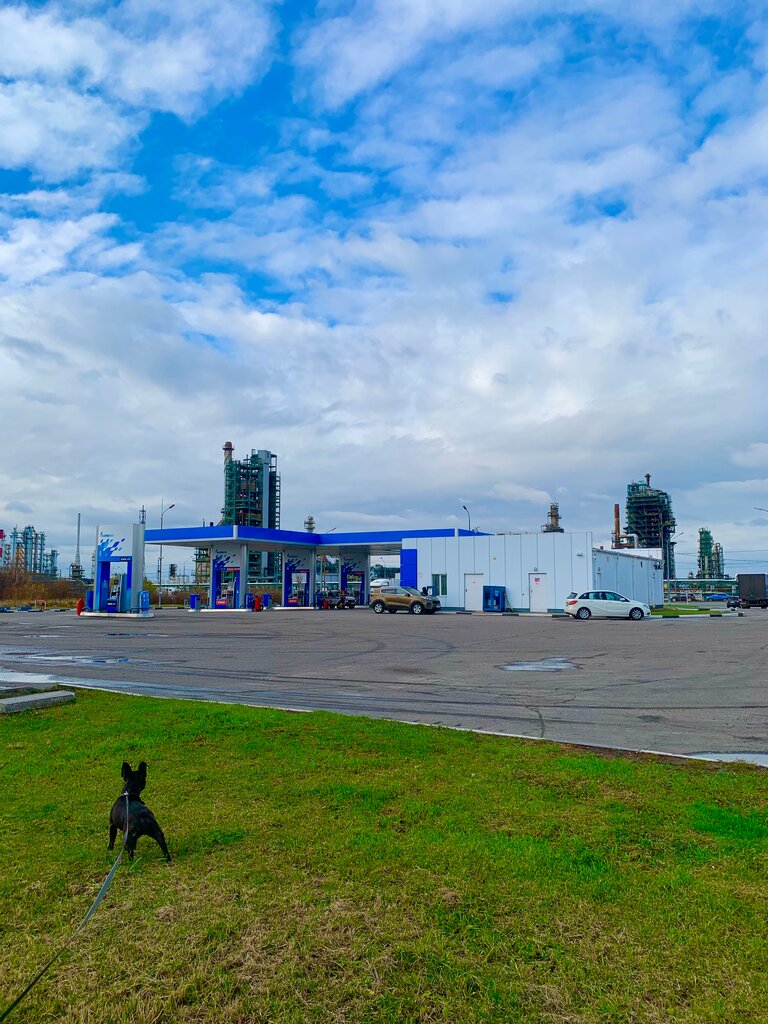 AYOQSh Gazpromneft, , foto
