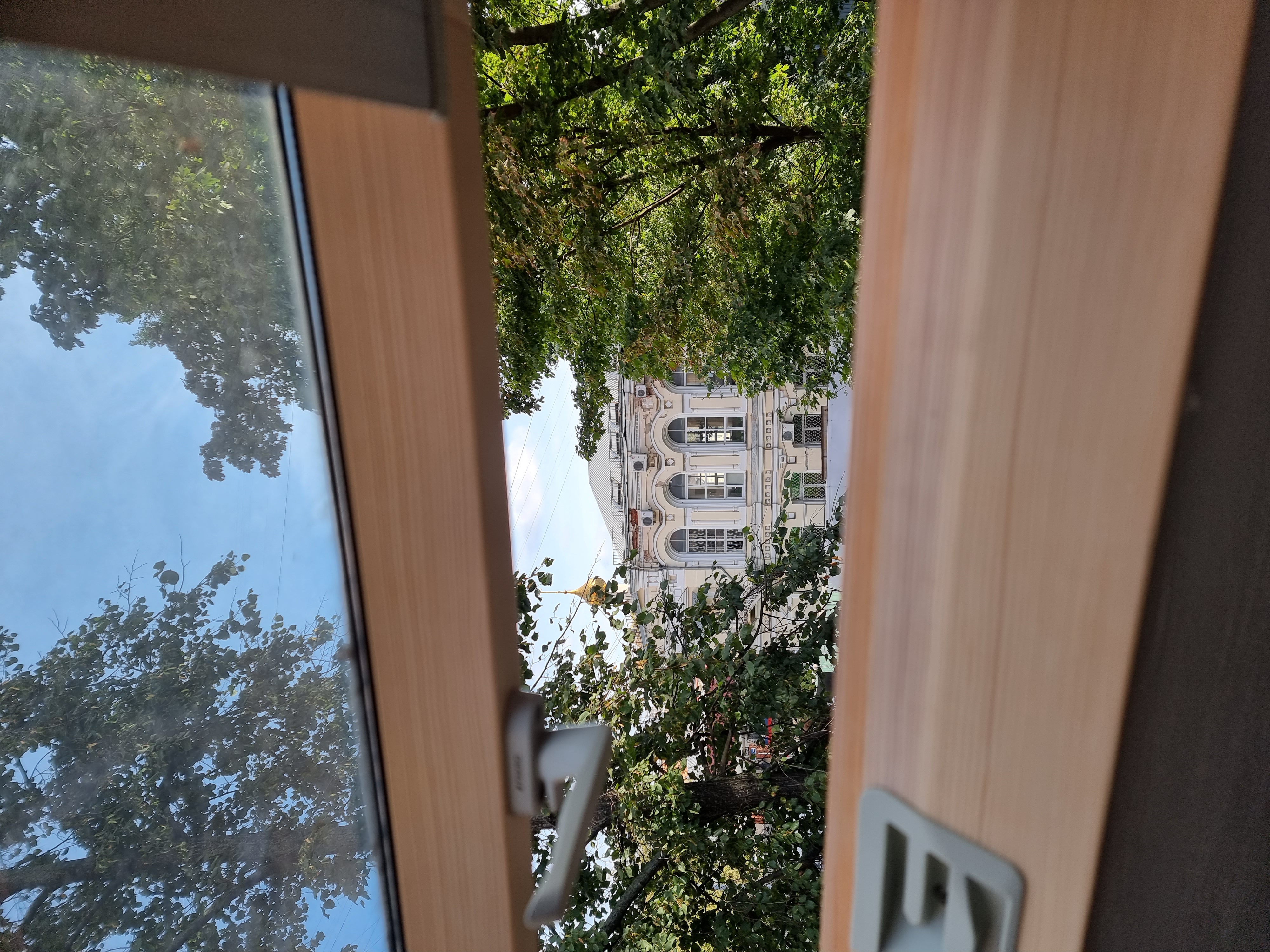 Фото Кауфман