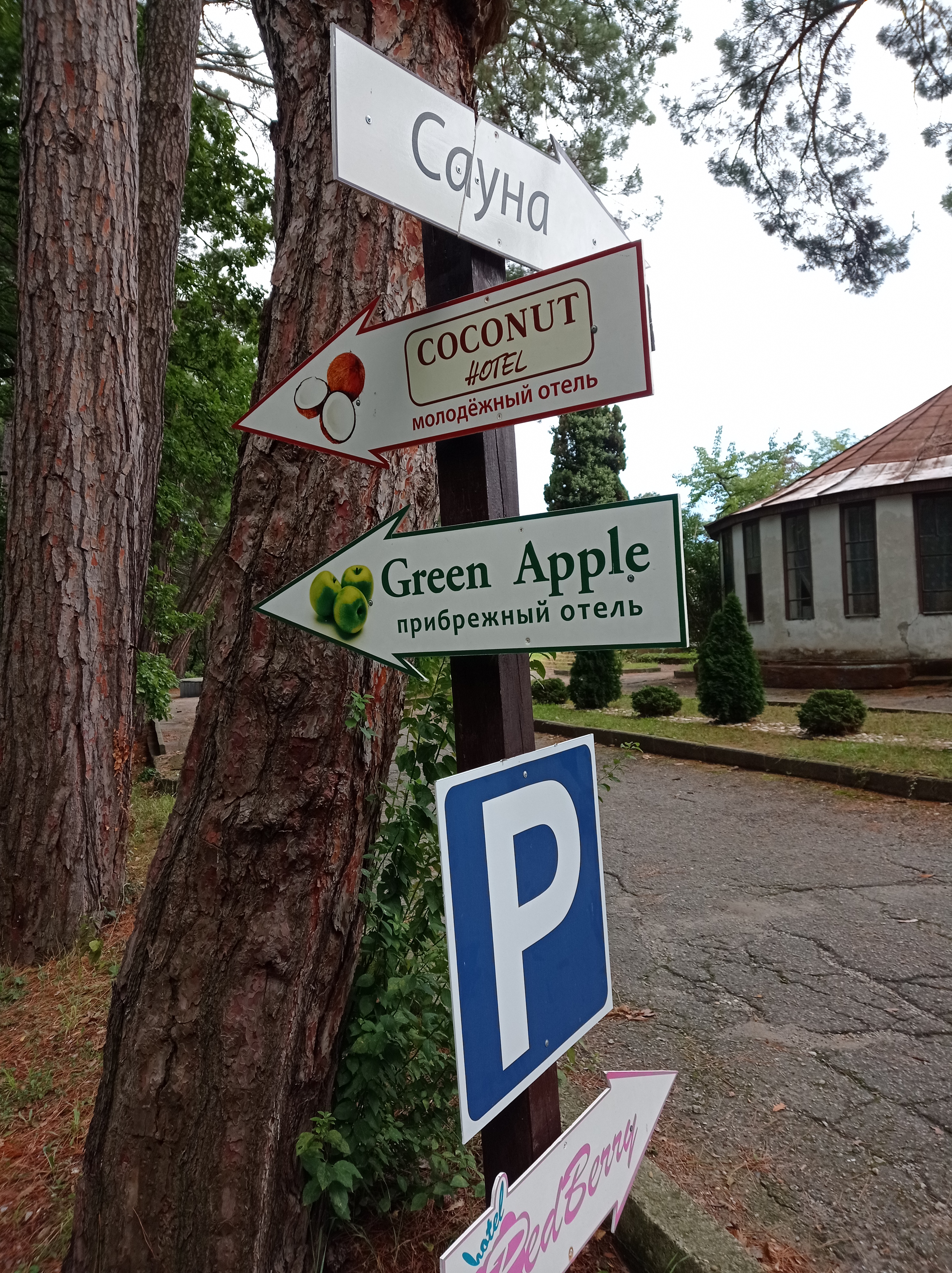 Фото Green Apple