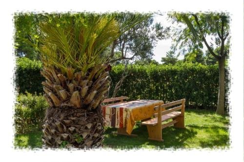 Фото Hostel Oktarin