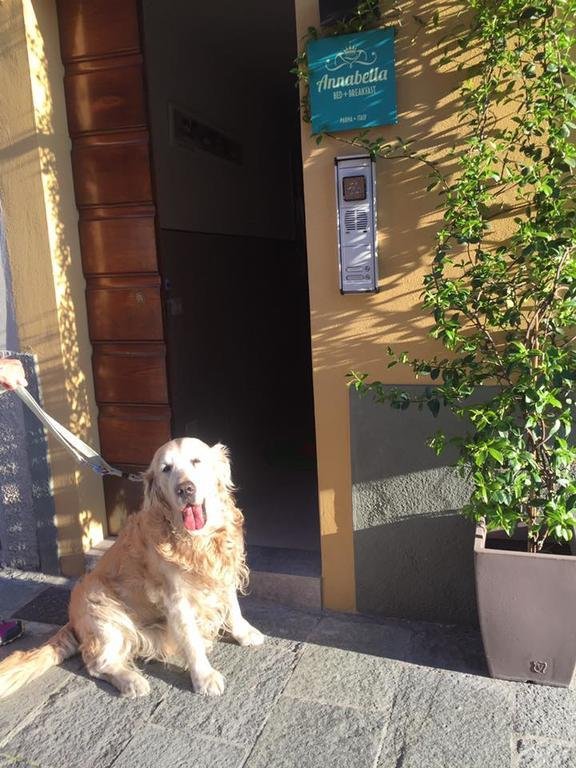 Фото B&b Annabella