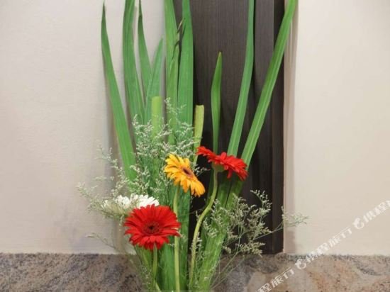 Фото Sol de Piedra Suites & Apart