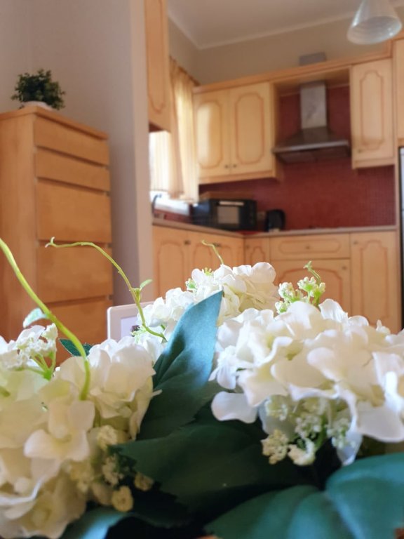 Фото Kaloudis Apartments & Studios