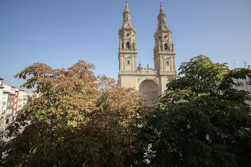 Жильё посуточно Apartamento Con Vistas a la Catedral в Логроньо