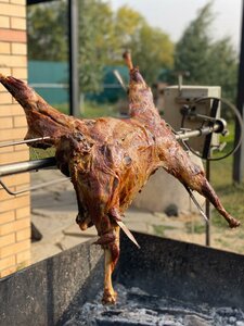 Поплавок