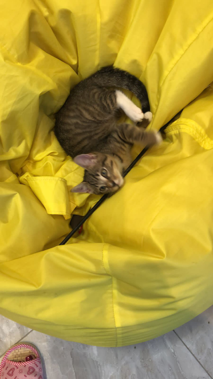 Фото ИнЛайк