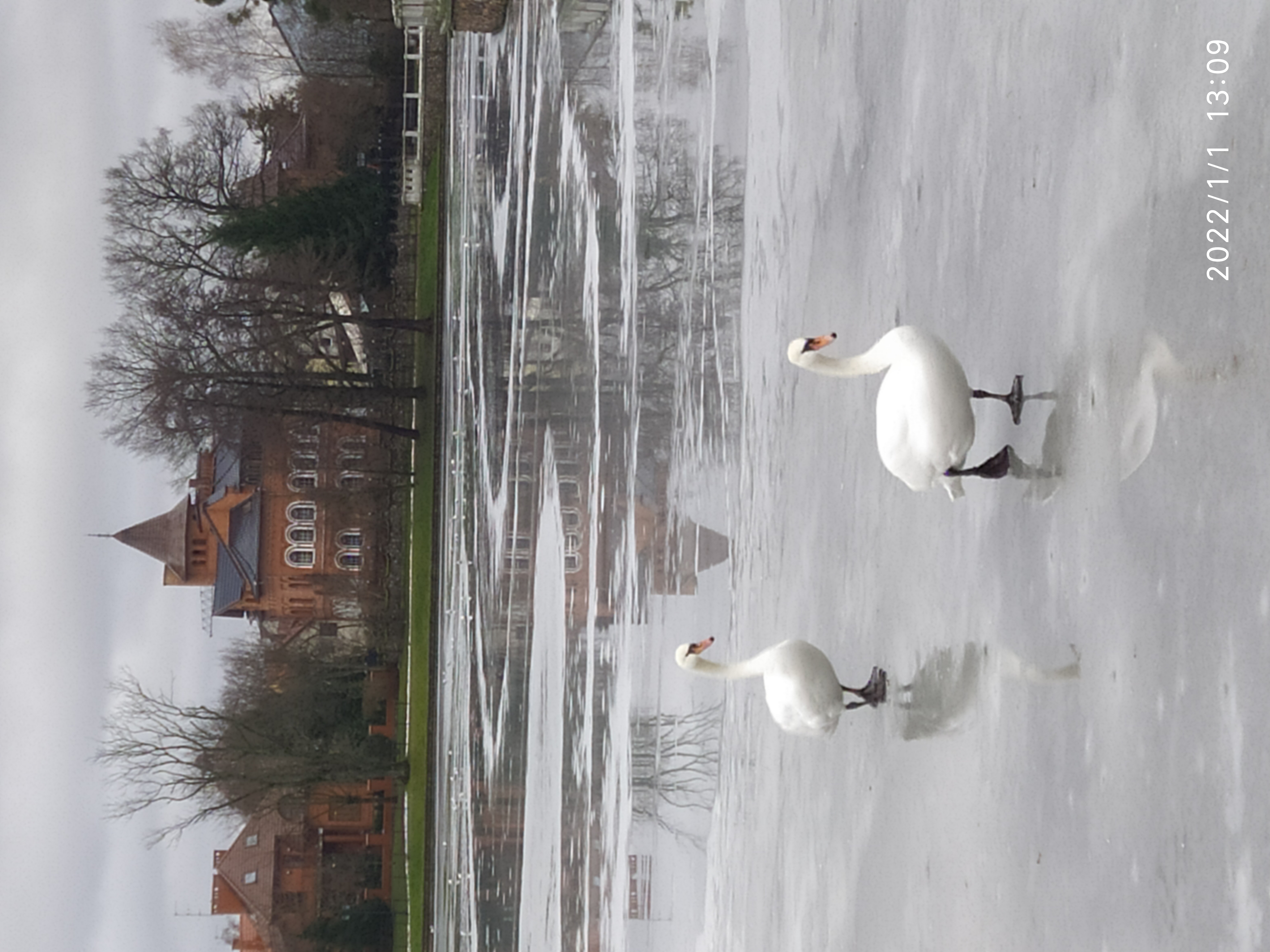 Фото Вилла Татьяна на Тургенева