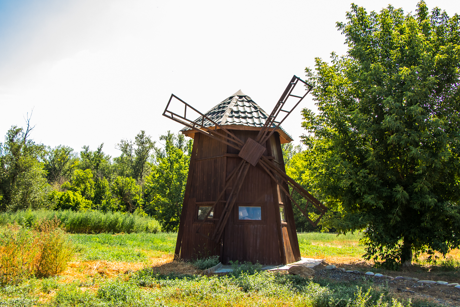 Фото Гремучий