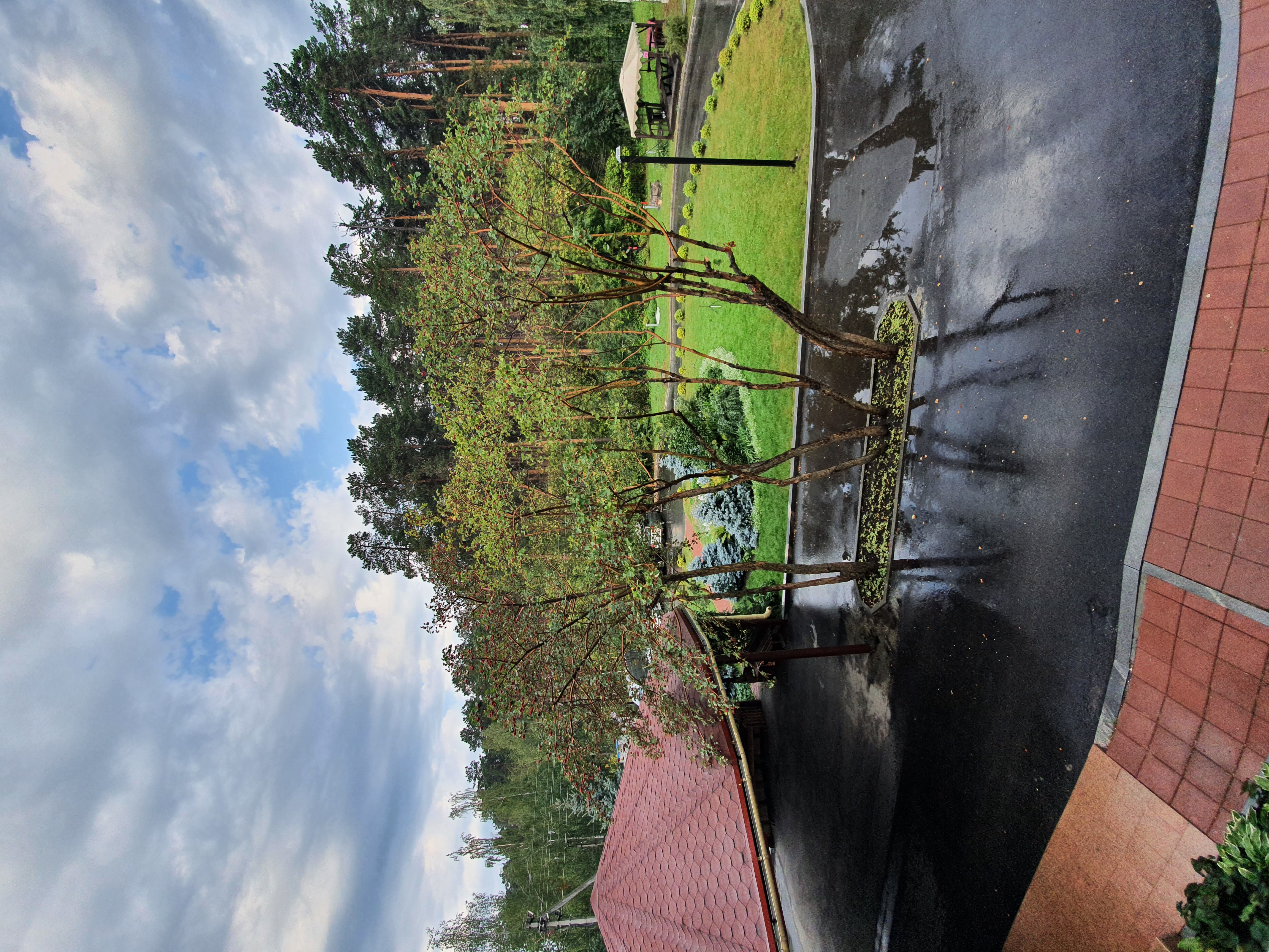 Фото Изумруд