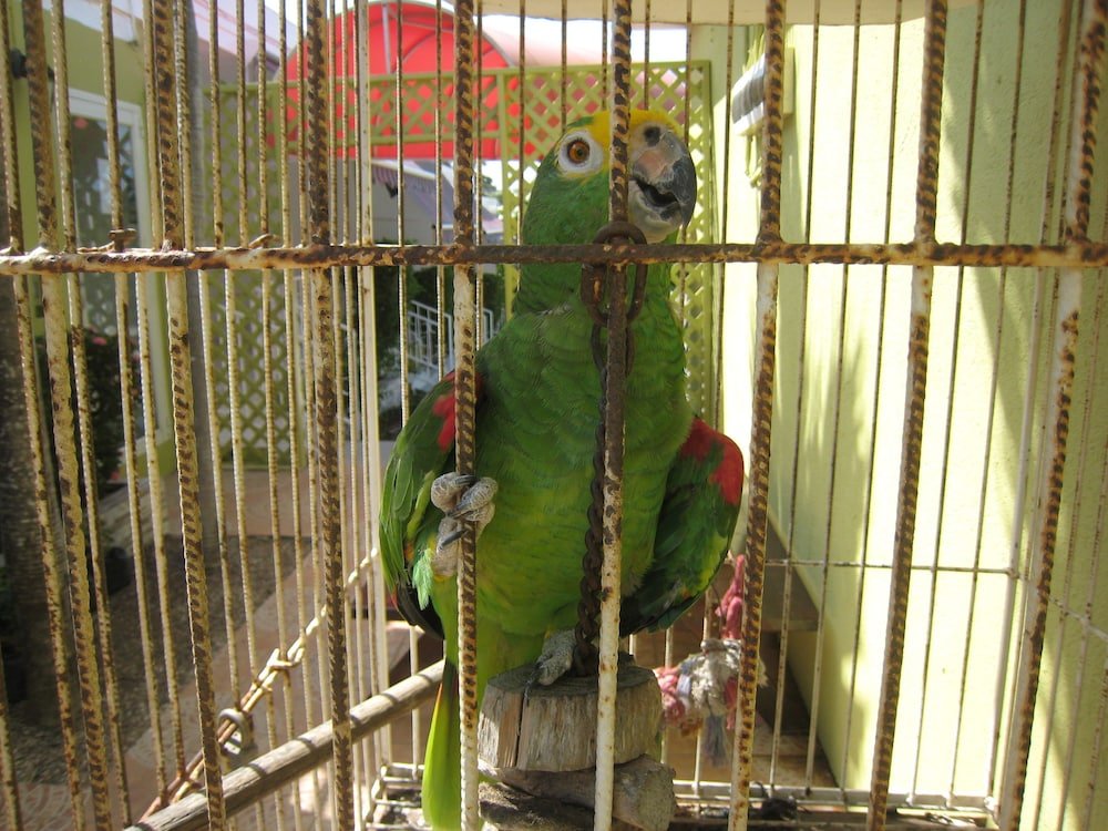 Фото Alablanca Apartments, Residents Inn