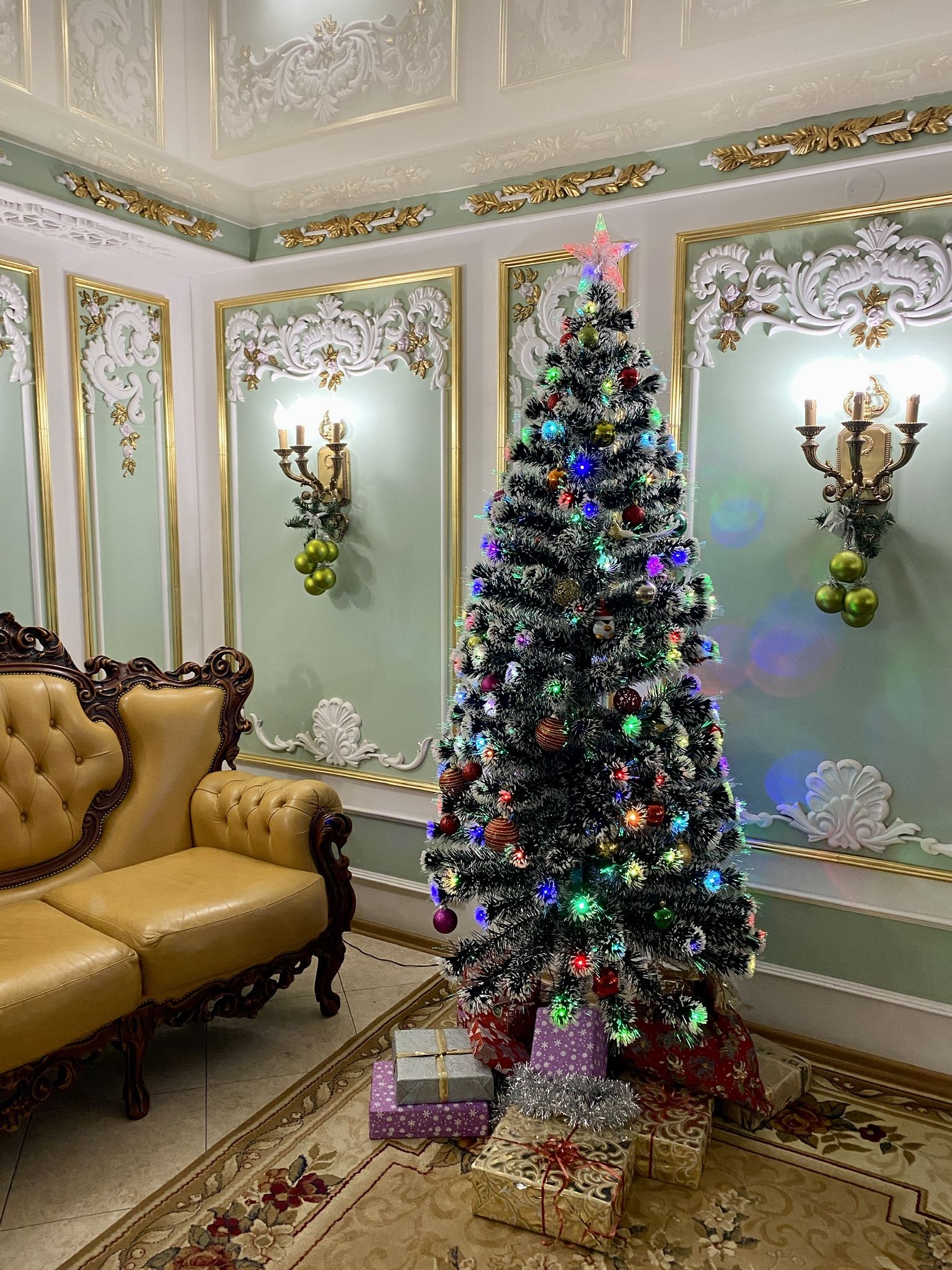 Фото Аристократ