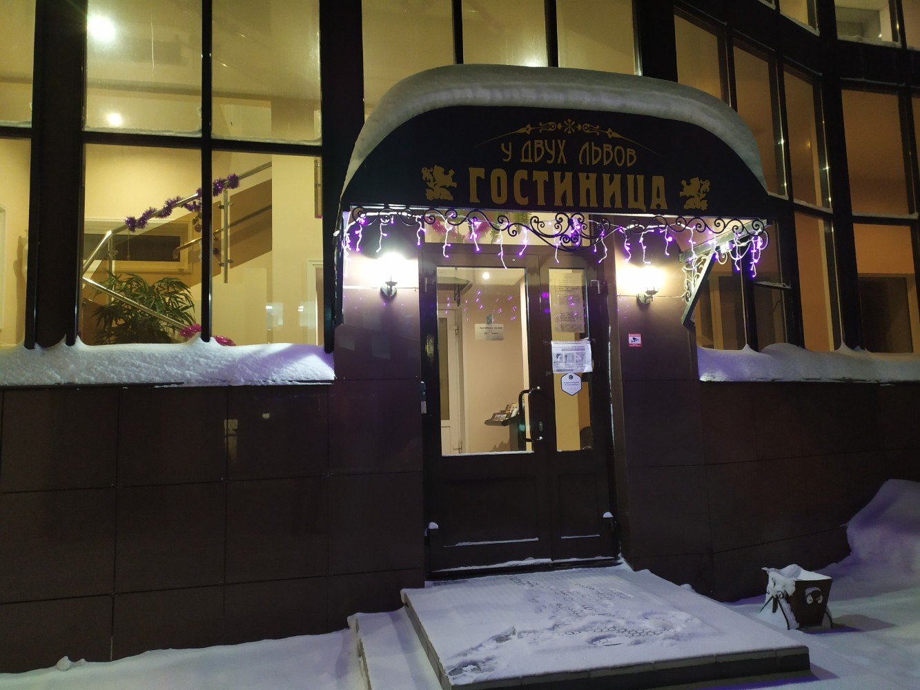 Фото У двух львов