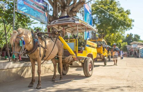 Гостиница Lumi Hotel Gili Trawangan в Провинции Западные Малые Зондские острова