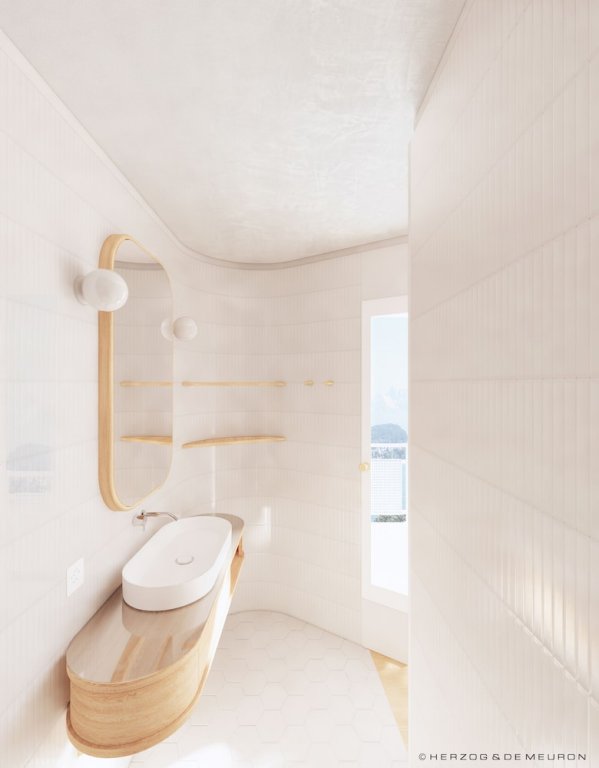 Фото Hermitage Lake Lucerne - Beach Club & Lifestyle Hotel