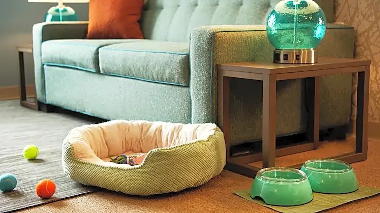 Фото Home2 Suites by Hilton Lewes Rehoboth Beach