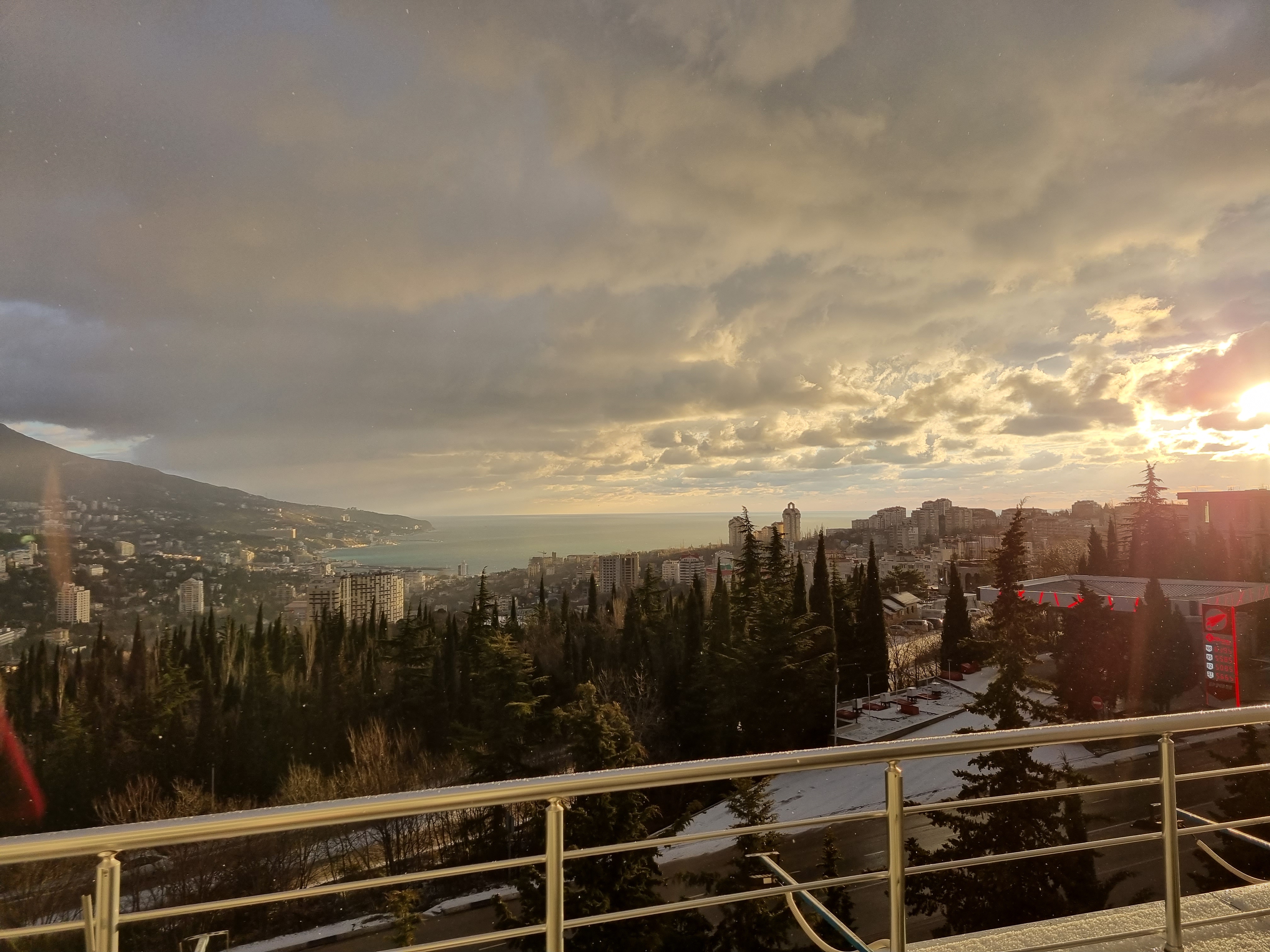 Фото Борода