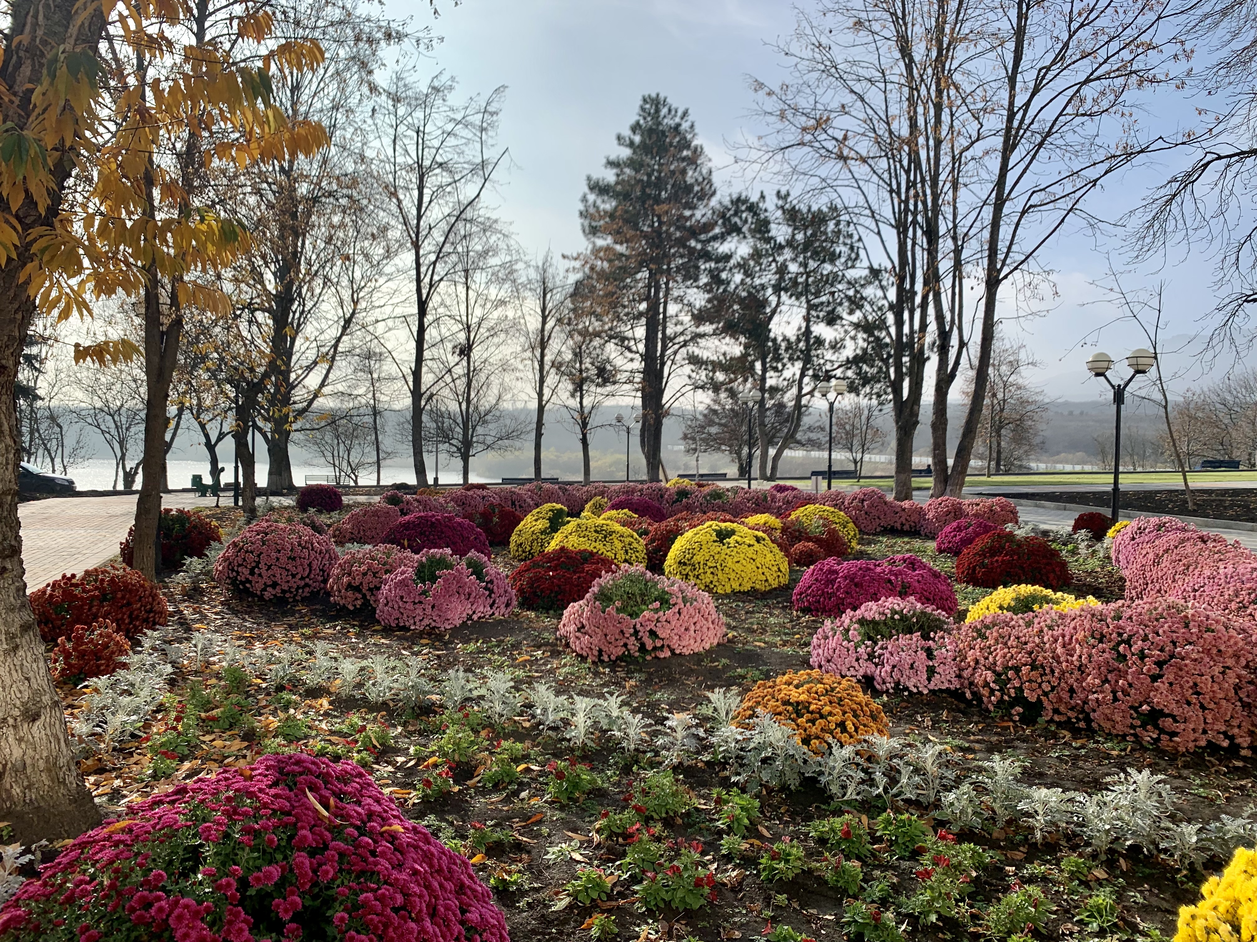 Фото Елизавета -Минеральные Воды