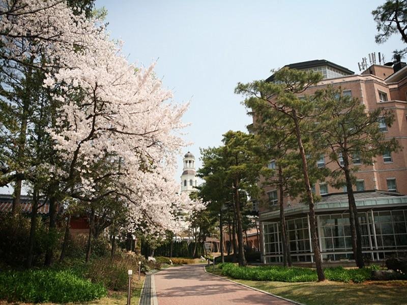 Фото Mayfield Hotel Seoul