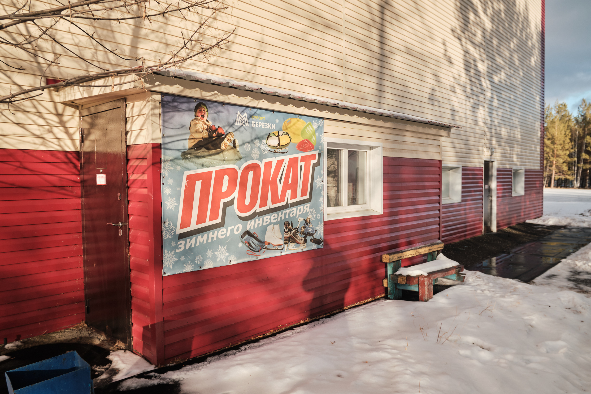 Фото Берёзки