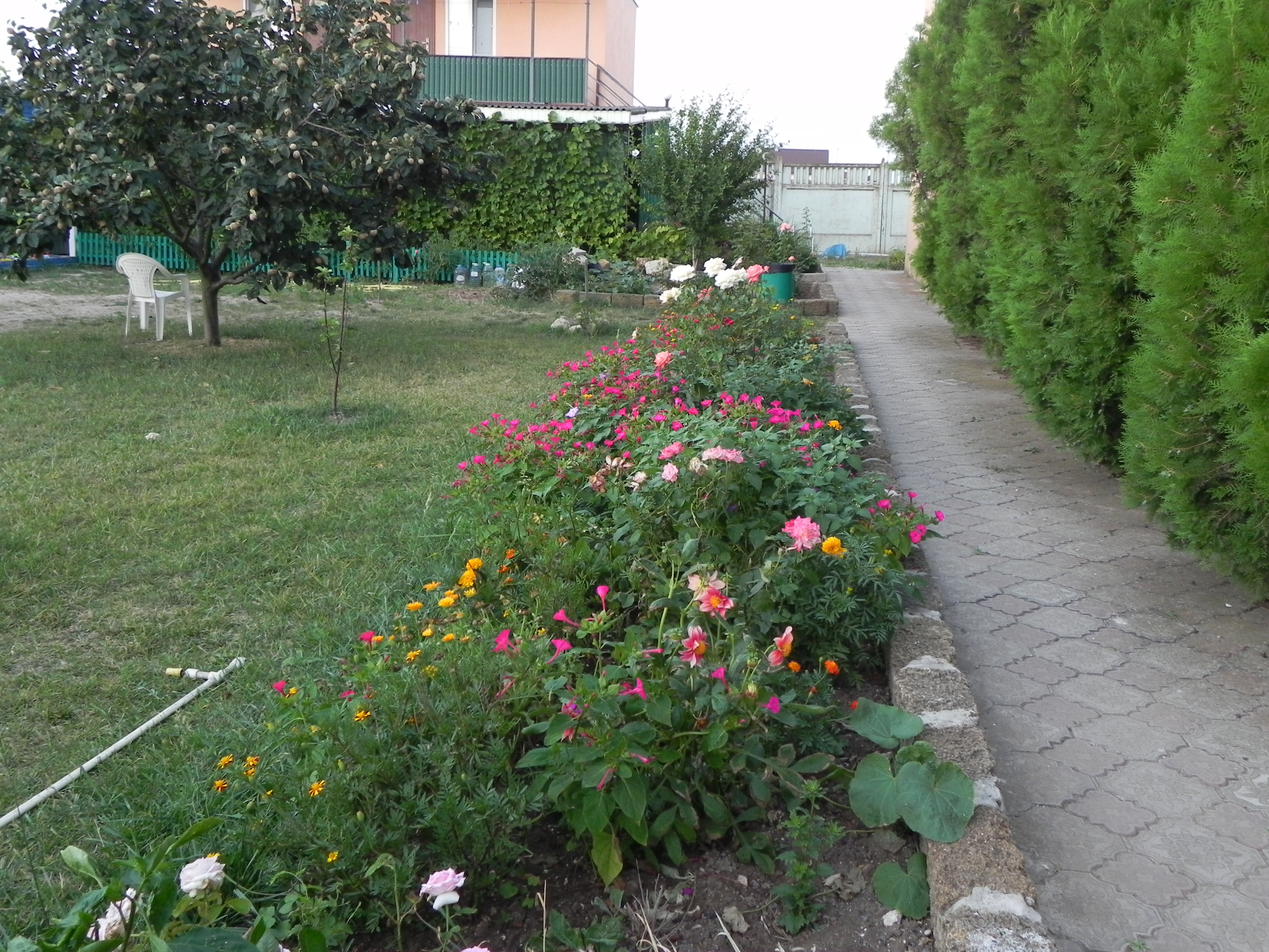 Фото Фанни Вероника