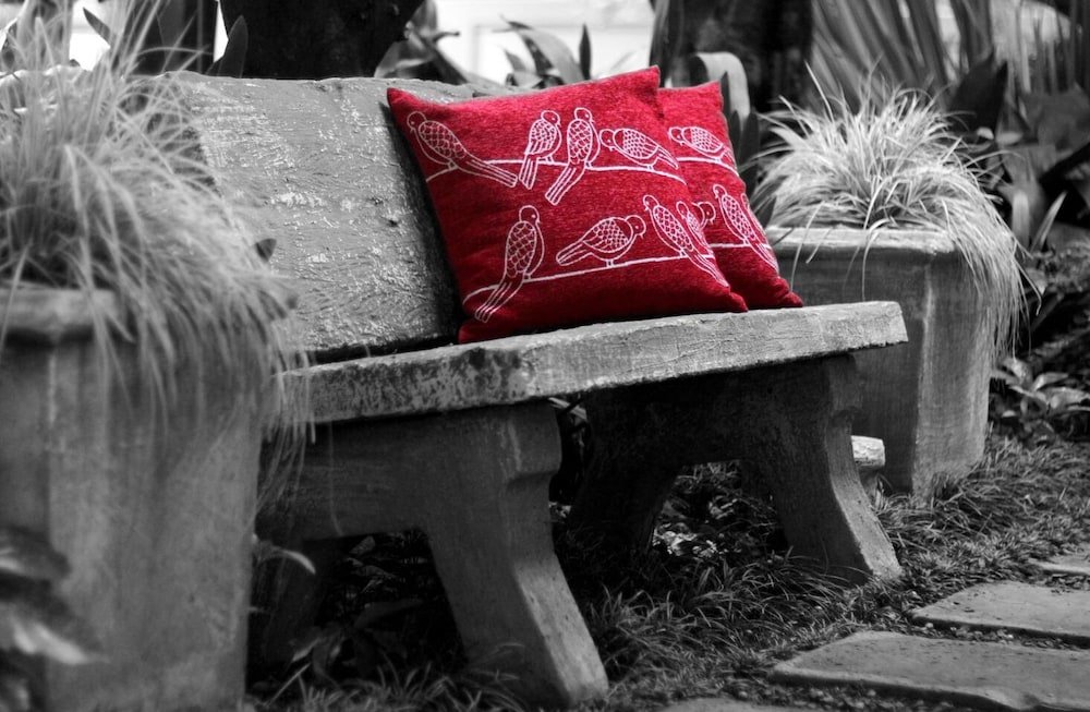 Фото Del Roza Guest House