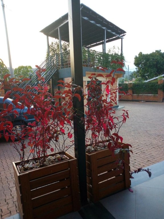 Фото Shami Luxury Apart