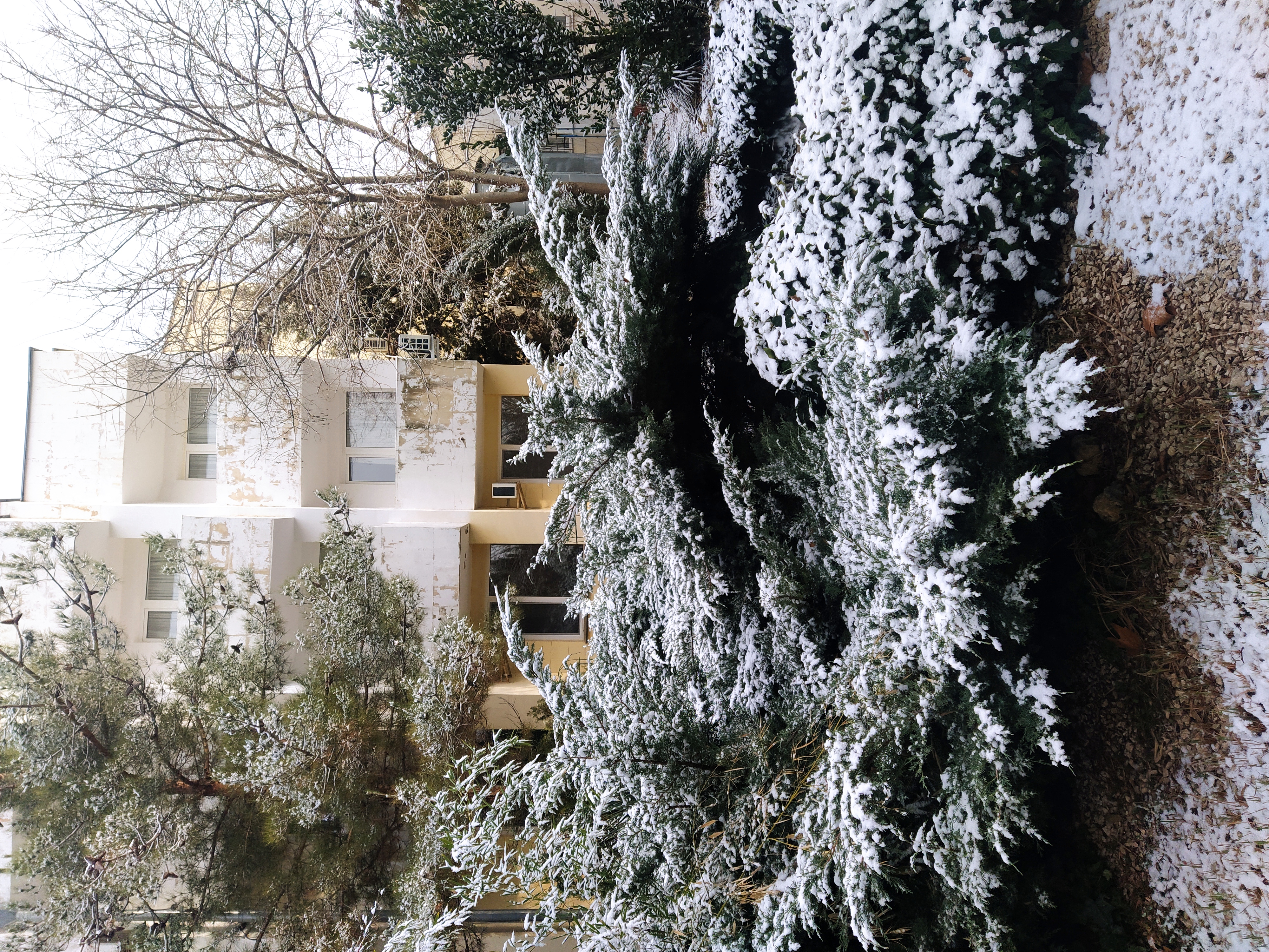 Фото Альбатрос