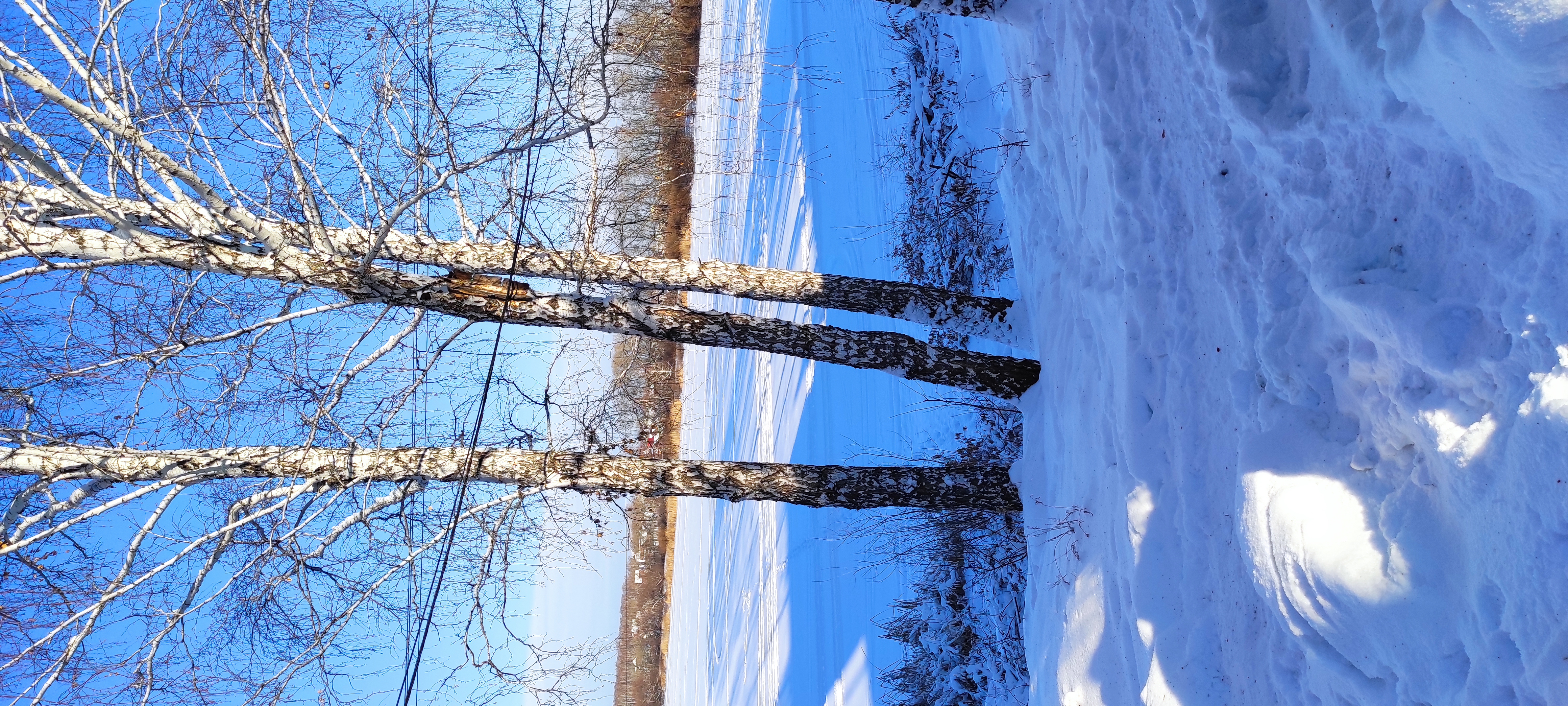 Фото Мичуринский