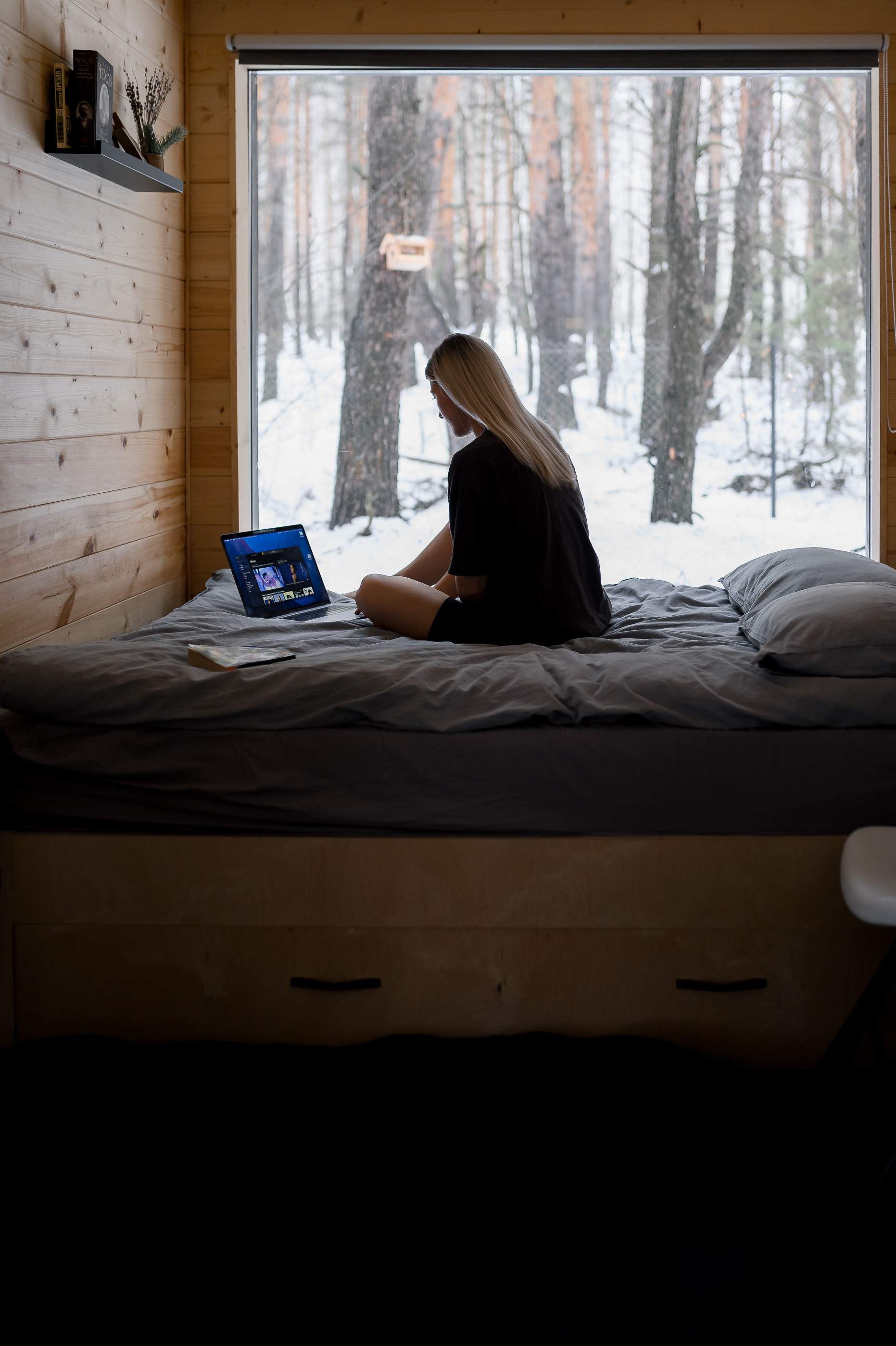 Фото Место под соснами