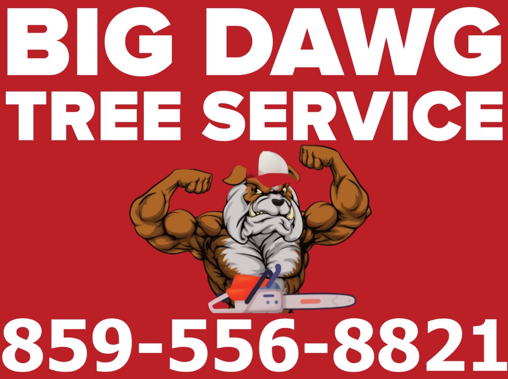 Garden tools and equipment Big Dawg Tree Service and Stump Grinding, Commonwealth of Kentucky, photo