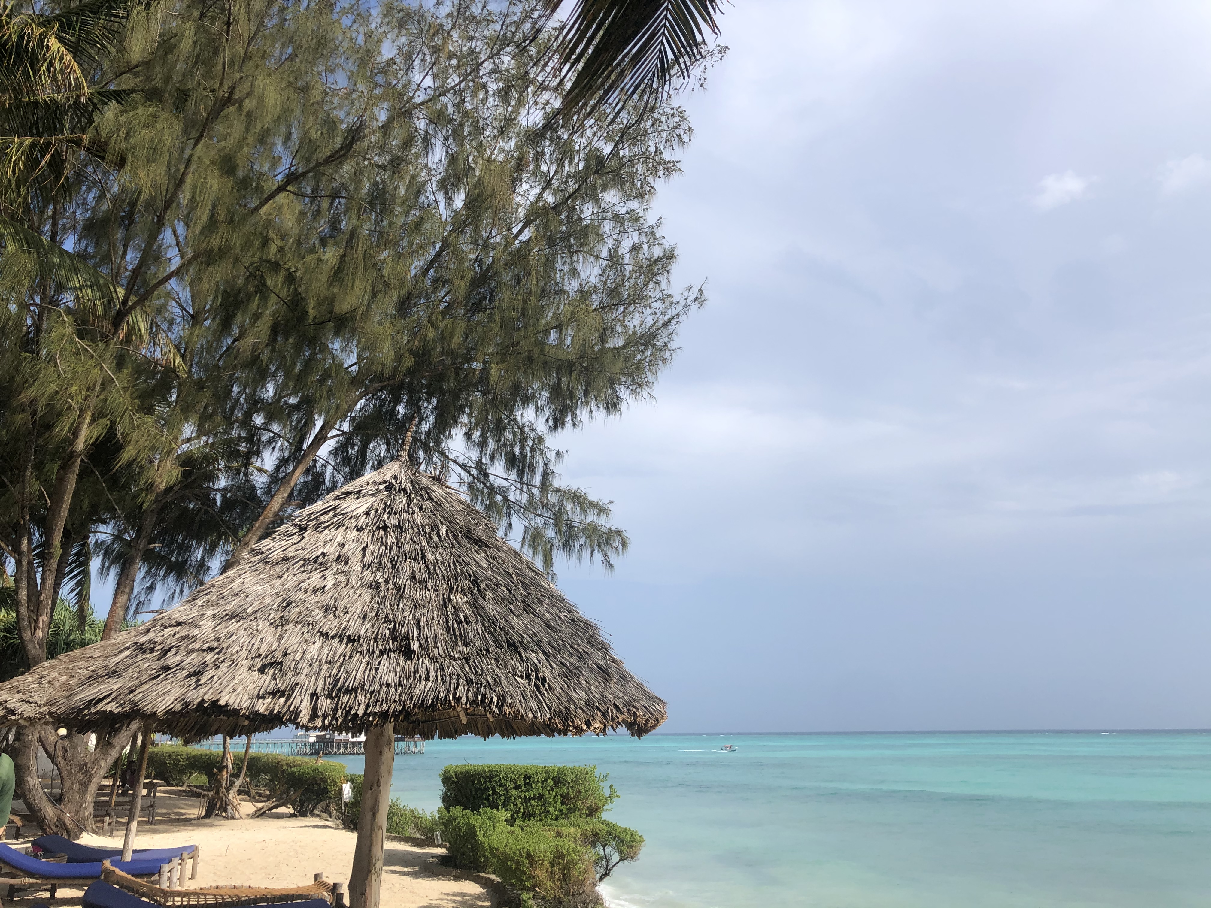 Фото Tanzanite Beach Resort