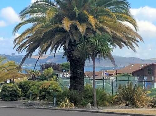 Гостиница Lakeland Resort Taupo в Таупо