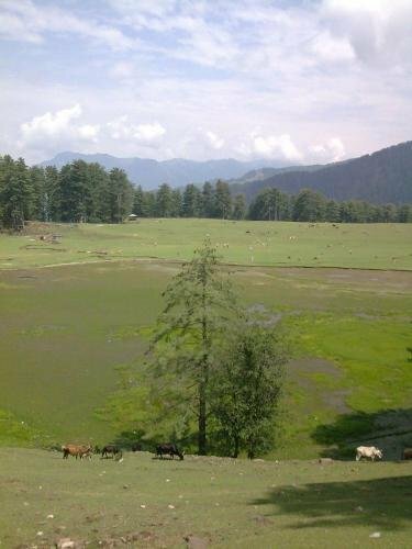 Гостиница Vardaan Hotels - PatniTop