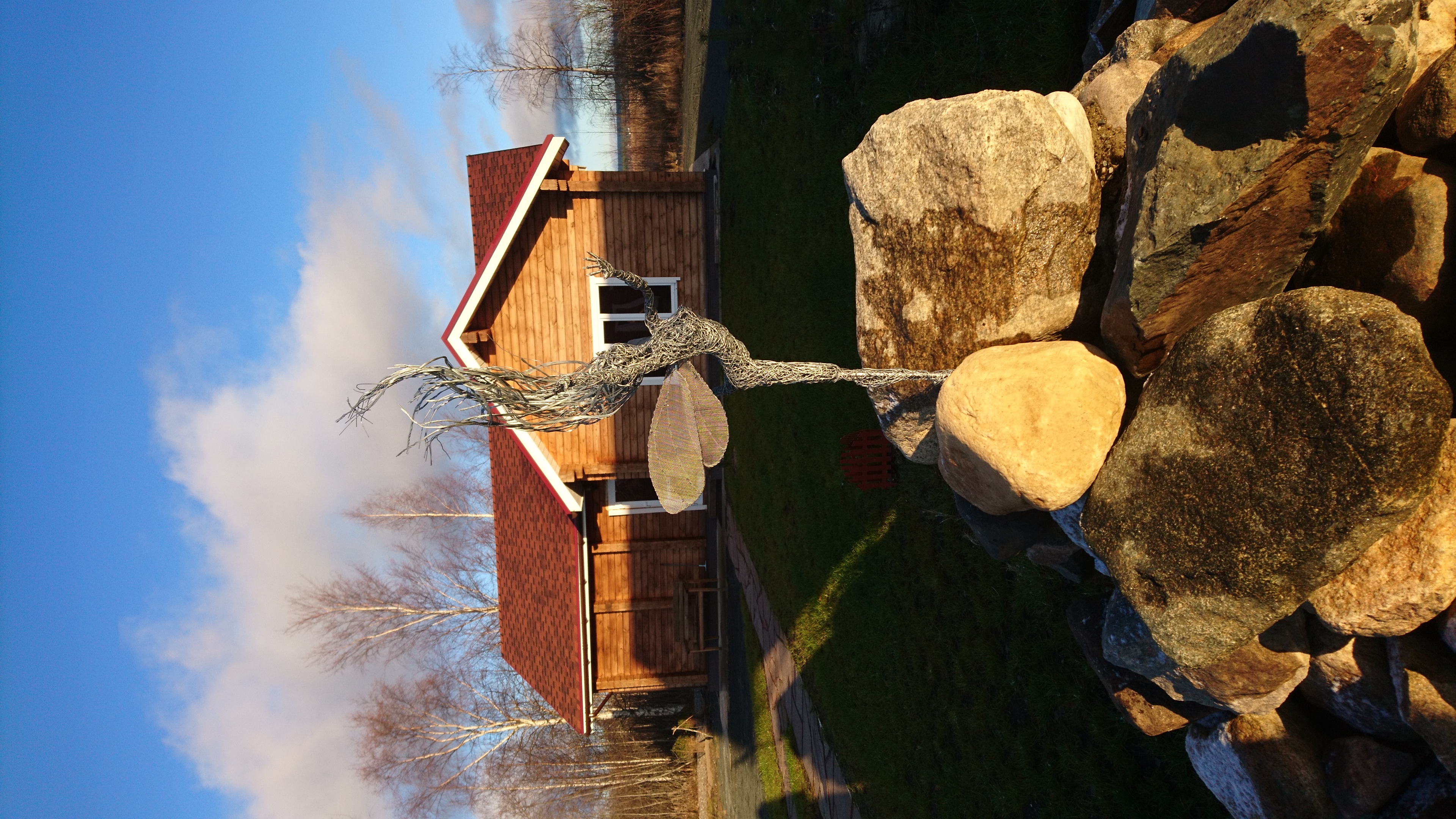 Фото Крокус