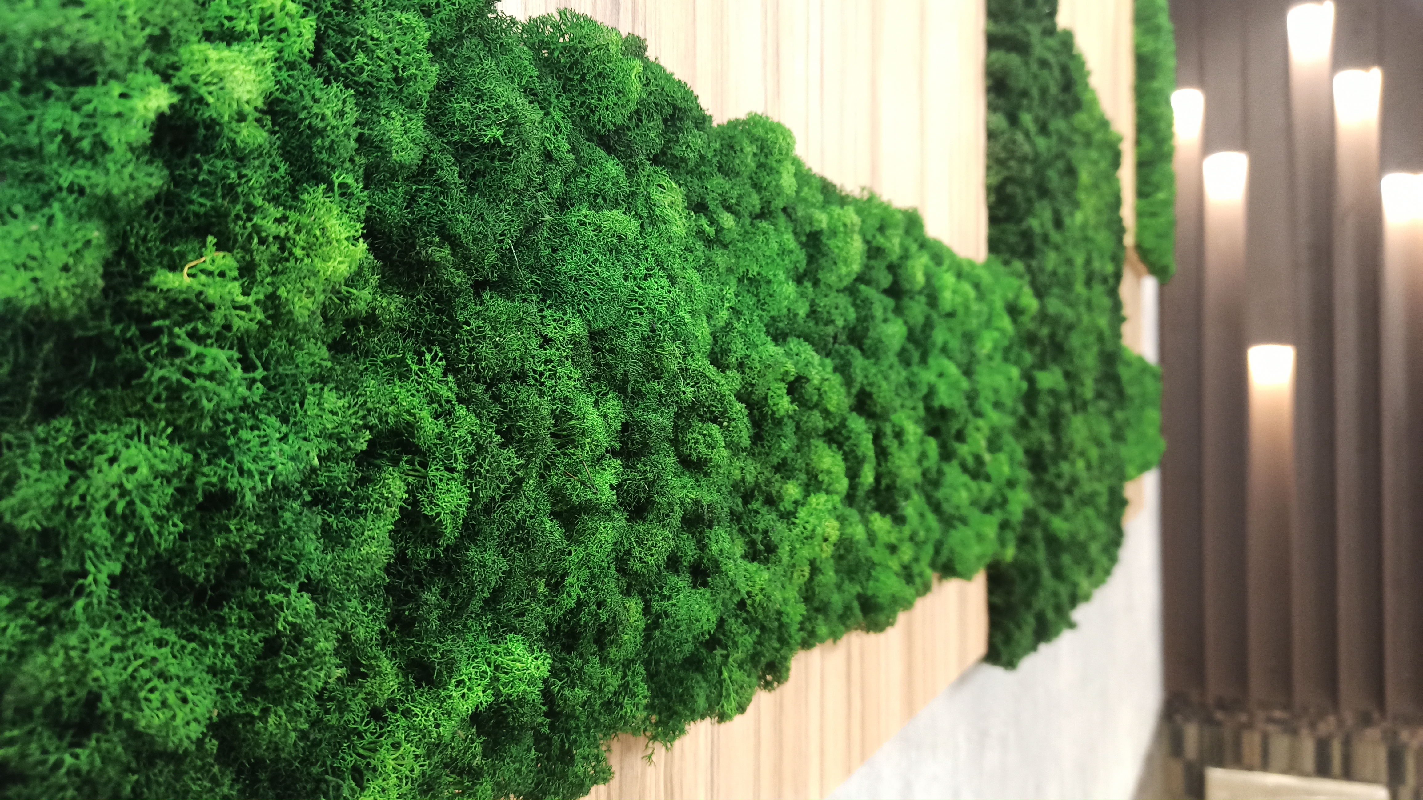 Фото Премьер