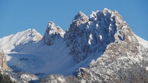 Фото Apartment Hotel Elvis