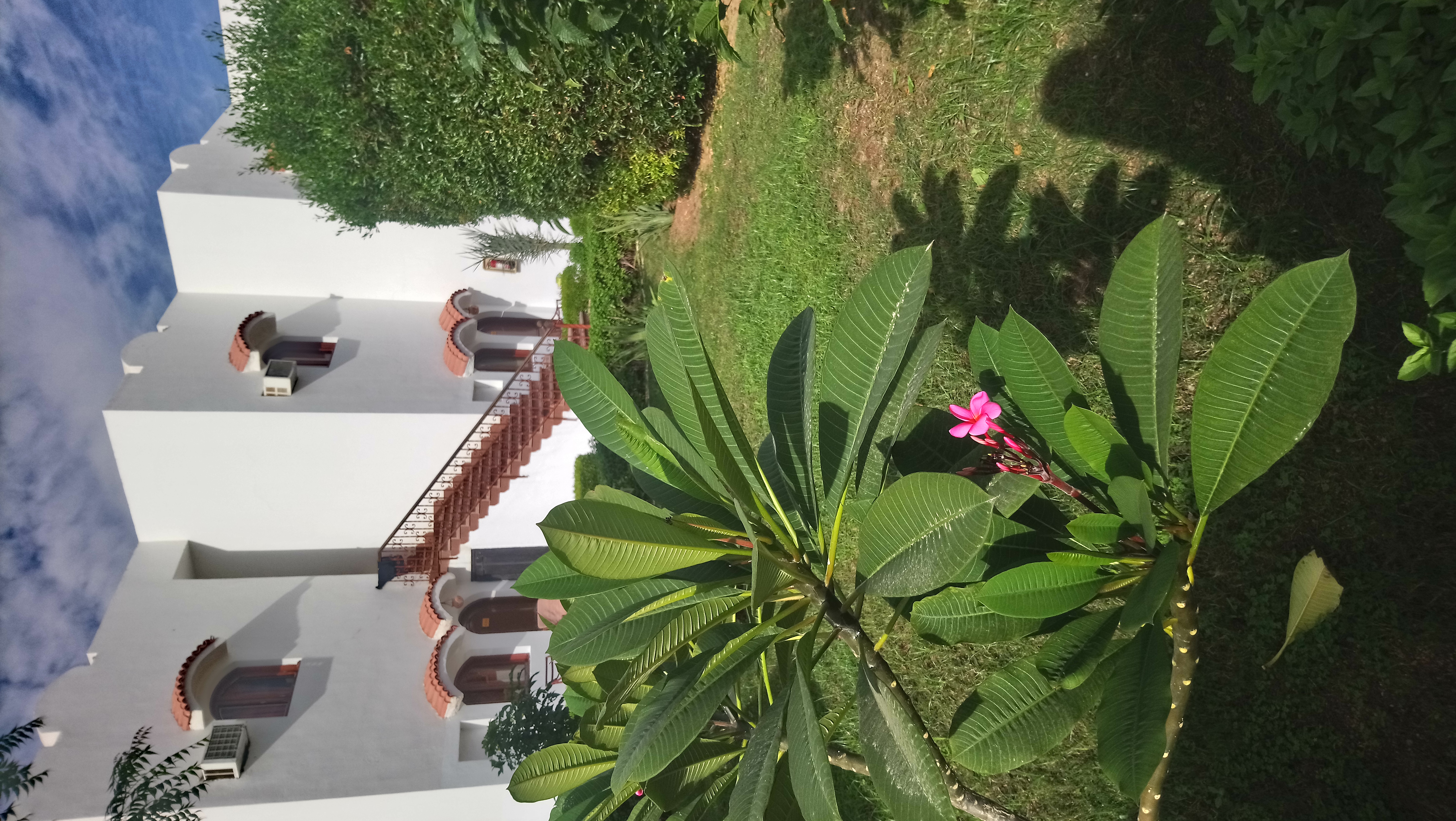 Фото Desert View Sharm Hotel